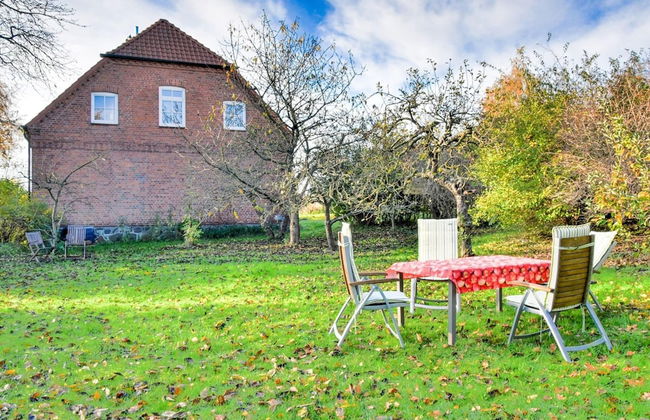 Gemuetliches Apartment in Behmkenhagen mit Terrasse - Foto 18