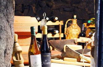 Quinta da Utopia - Foto 28