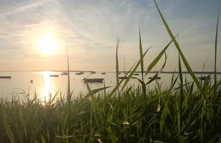 "Haus Seegang" für Naturliebhaber, strandnah, ruhig, mit großem Garten - Foto 31