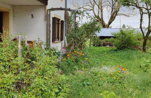 große Wohnung mit Dachterrasse - Foto 43