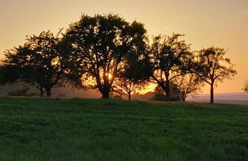 Limburgstube - Foto 25