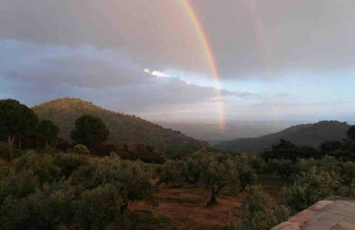 Viña Las Olivas - Foto 20