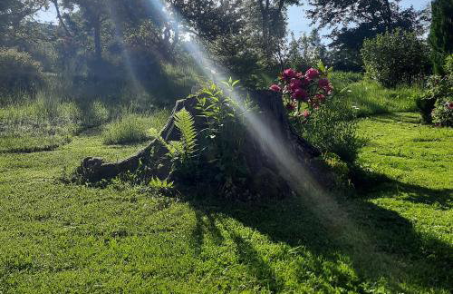 Miodowa Chata Pokoje Gościnne - Foto 31