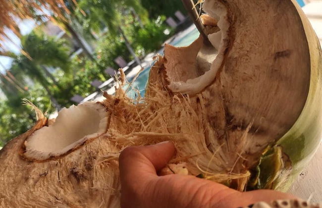 Coral Maya Stay Suites - Photo 14