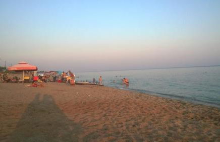 Walnuthouse - Foto 11