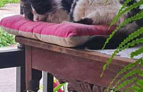 Casa Rural EL PUENTE - Foto 66