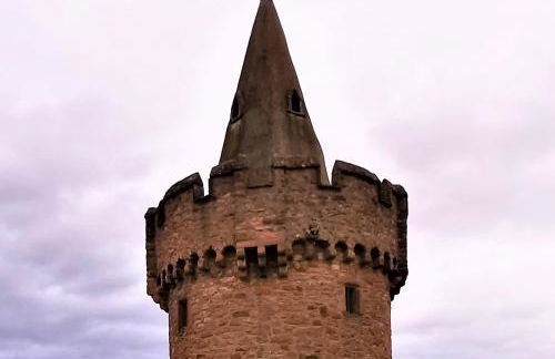 Business Apartments Großostheim - Foto 14