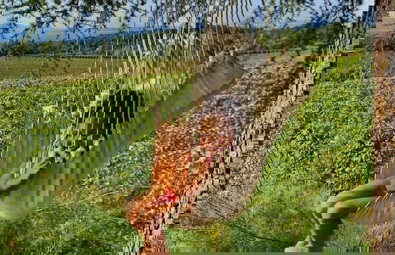 Stunning 6-bed Villa in Etoy - Foto 37