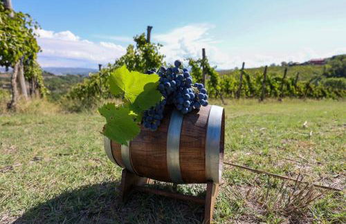 Agriturismo Casale 1921 - Foto 24