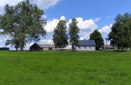 Siedlisko u Agi nad Biebrzą - Photo 7