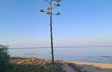 Mediterraneo Casa Vacanze -Sicilia 100 mt dal mare - Foto 23