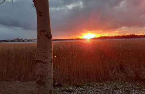 Fewo Usedom Peene Idyll - Foto 32