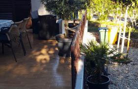 Oleander adria - Foto 22