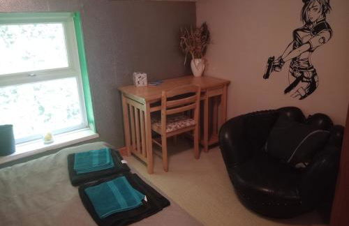 Cosy Rural Gilbert Hights Llandovery Cynghordy - Foto 37