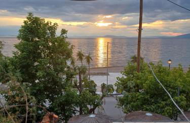 Panoshouse - Foto 24