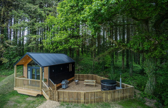 Cabin In The Woods - 1 Bed - Kilgetty - Foto 1