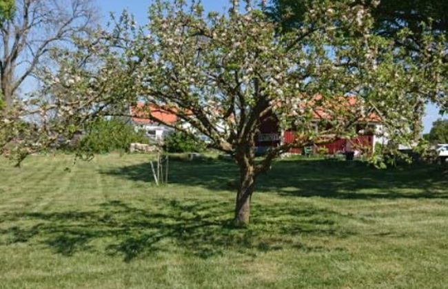 4 Star Holiday Home in Morbylanga - Foto 26