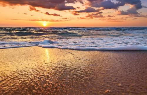 Walk Everywhere! 1-Bedroom Gem in Downtown Hub - Foto 43