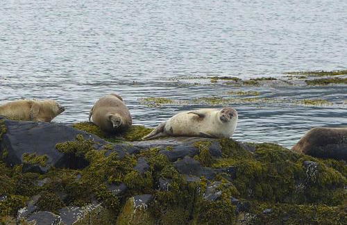 The Old School House - Foto 29