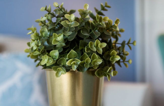 QuickStay CN Tower View Condo in Fort York - Foto 42