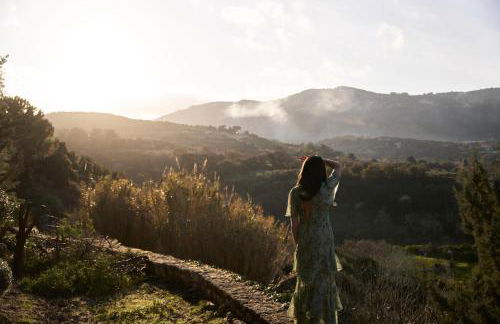 Eliathos Hillside Retreat - Foto 20