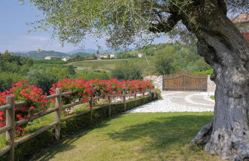 Agriturismo Althea - Foto 23