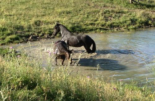 I Puntoni Agriturismo - Foto 79