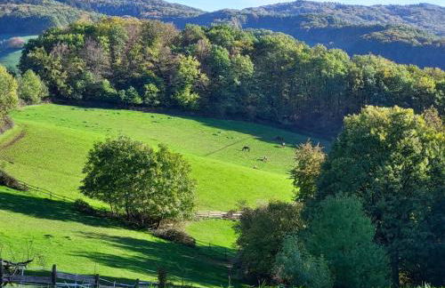 Gorxheimertal 92qm Allergikerfreundlich 2 Schlafzimmer 2 WC Terrasse - Foto 32