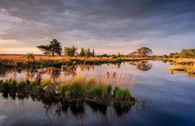 Cozy Holiday Home in a Lovely Environment - Photo 27