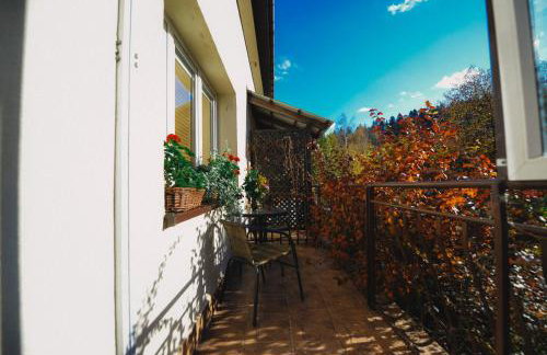 Apartament Zielony Ruczaj w Cisnej - Photo 45