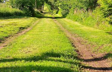 Räuberstube 90 qm - einsam - ruhig - Insel im Land - Foto 25