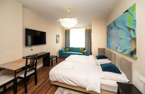 Apartamenty Castello - Foto 31