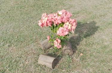 chaler Sao Jorge - Foto 51