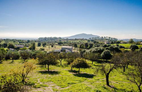 Holiday Home Es Cos by Interhome - Photo 74