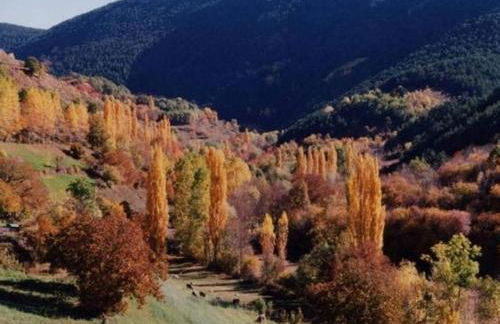 Turisme Rural Lo Pallé de Cal Bosch - Foto 76