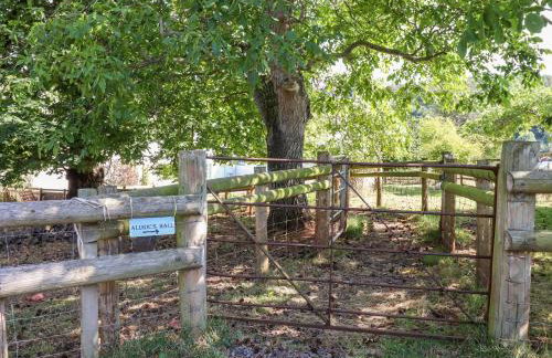 Aluric's Hall - Foto 42