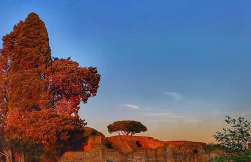 Per Antiqua Itinere - Foto 59