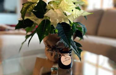 Dottie's Place - Foto 13