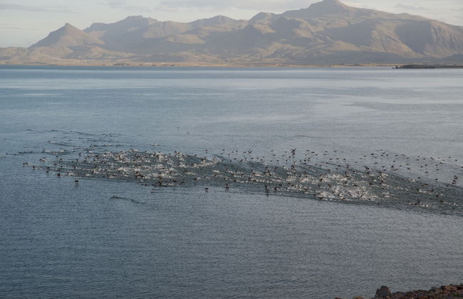 Krákhamar apartments - Photo 12