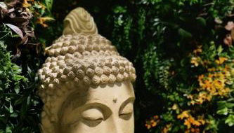 Jungle Room Strasbourg - Évasion Tropicale - Sauna Jacuzzi Balnéo - Foto 4