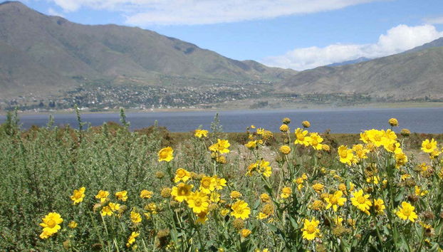 Dique de La Angostura