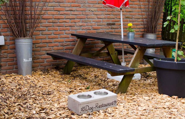 Type 4p in Uelsen With 2 Bedrooms and 1 Bathrooms - Foto 34