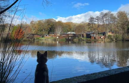 Lodge Nine for 6 with Hot Tub - Spa Resort in Devon - Foto 30