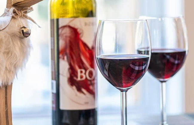 Le Grand Duc- SPA Sauna- Bord Rivi re Noire - Foto 26