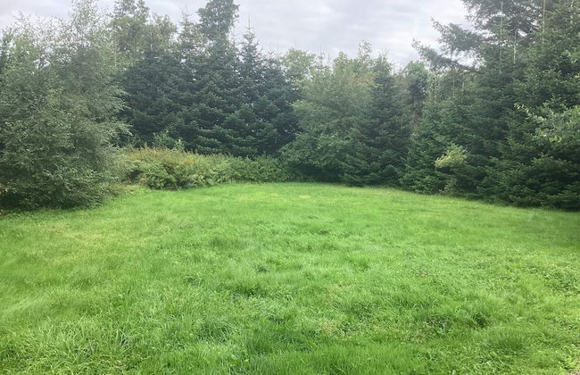 4 Person Holiday Home in Gedsted - Photo 1