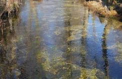 Aldeia de Moura Morta - Foto 34