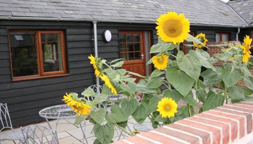 Blashford Manor Holiday Cottage - The Dartmoor Cottage - Foto 2