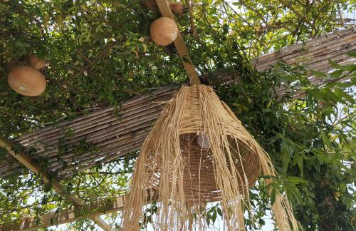 Green Oasis House in Filerimos - Foto 19