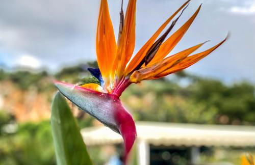 Arte Povera Landhaus in idyllischem Naturreservat - Photo 19