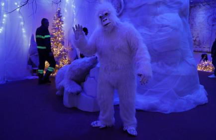 Appartamento nella Tuscia La Pucciarella - Foto 18